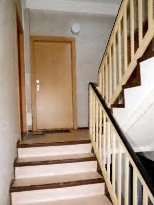 1-Raum-Wohnung in Ferdinandshof - Bild 3