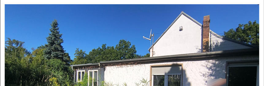Sonstiges in Berlin - Bild 1