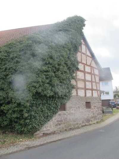 Sonstiges in Arenecke 3, 35279 Neustadt, Momberg - Bild 2