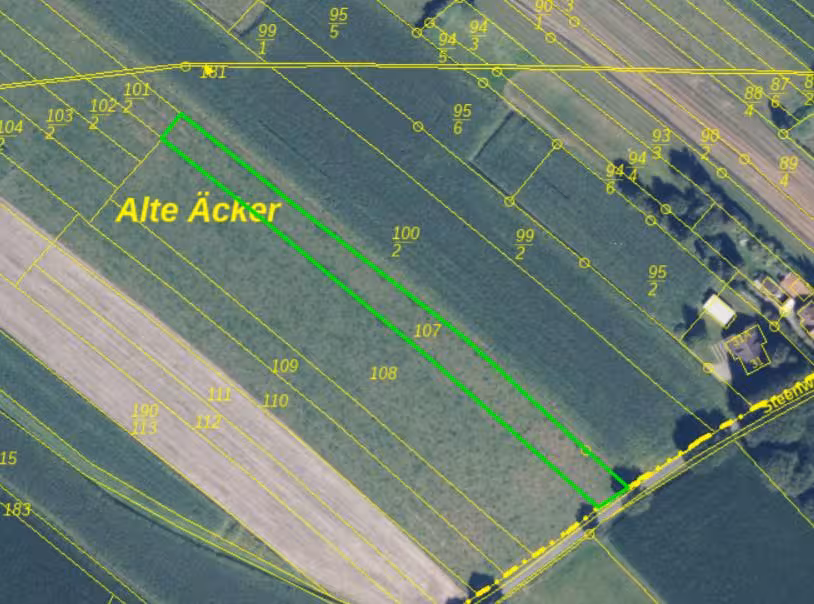 Einfamilienhaus, land- und forstwirtschaftlich genutztes Grundstück in Reepsholt - Bild 4