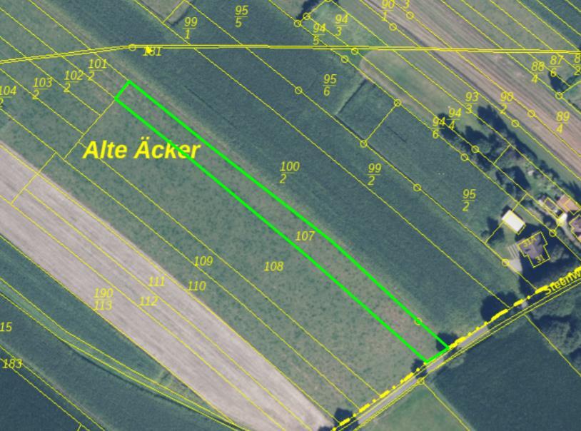 Einfamilienhaus, land- und forstwirtschaftlich genutztes Grundstück in Reepsholt - Bild 4