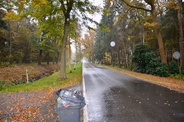 land- und forstwirtschaftlich genutztes Grundstück in Gnarrenburg - Bild 6