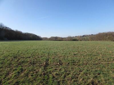 land- und forstwirtschaftlich genutztes Grundstück in , 53343 Wachtberg, Oberbachem - Bild 2