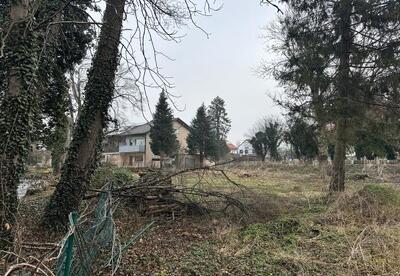 Sonstiges in An der Eversbuschstraße zwischen Hausnummer 71 und 75, 80999 München - Bild 2