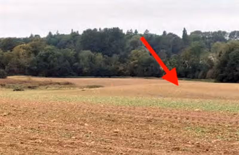 Landwirtschaftsflächen und Grundstücke in Sagard - Bild 3