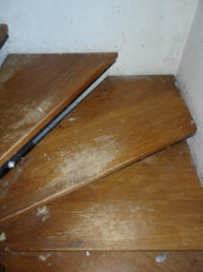 Einfamilienhaus, Garage in Gauting - Bild 2