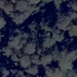 land- und forstwirtschaftlich genutztes Grundstück in Flachslanden - Bild 2