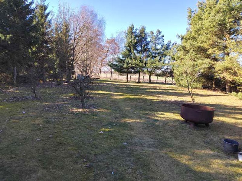 Einfamilienhaus in Eldena - Bild 4