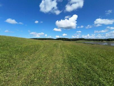 Land-/Forstwirtschaftsflächen und Grundstück mit ruinösem Haus in , 18581 Promoisel - Bild 2