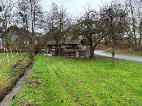 land- und forstwirtschaftlich genutztes Grundstück in Bracht-Siedlung - Bild 3