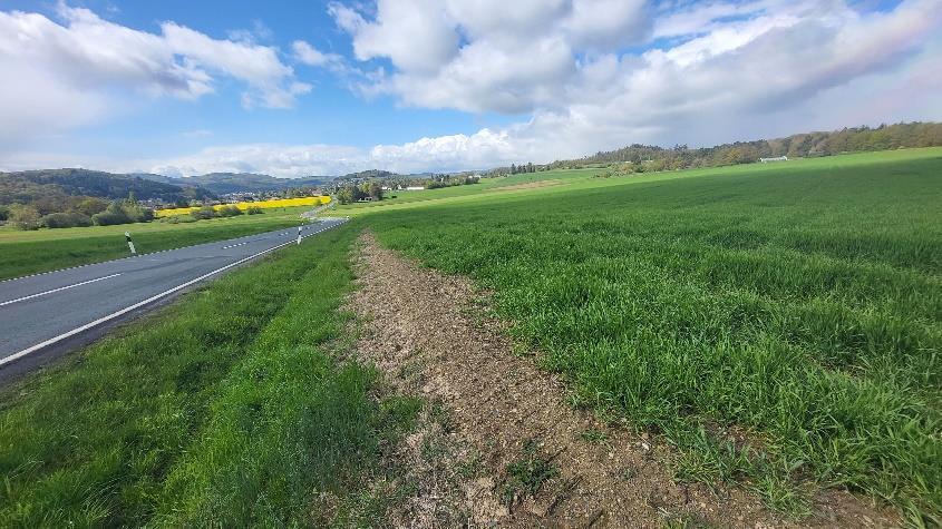 land- und forstwirtschaftlich genutztes Grundstück in Gladenbach - Bild 1