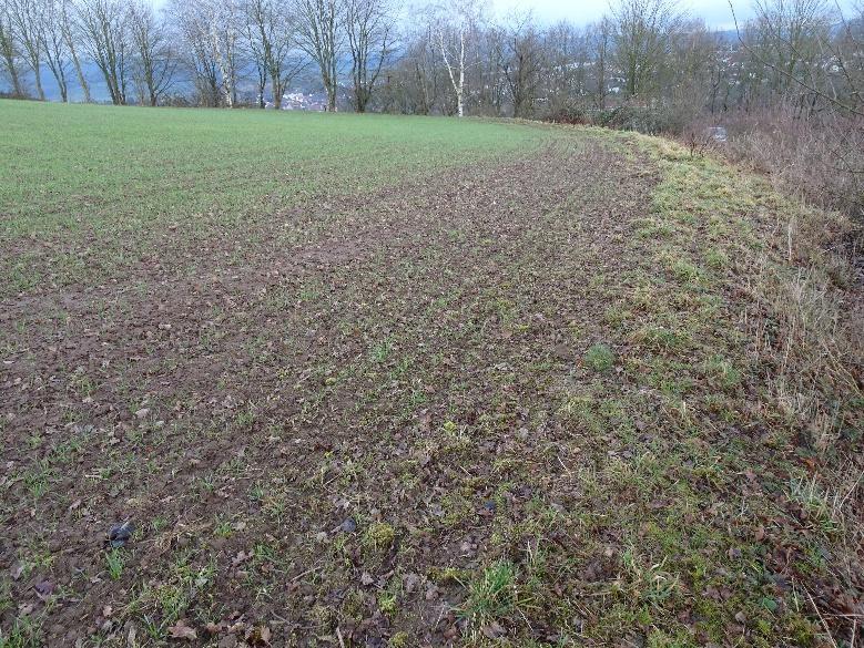 land- und forstwirtschaftlich genutztes Grundstück in Uslar - Bild 3