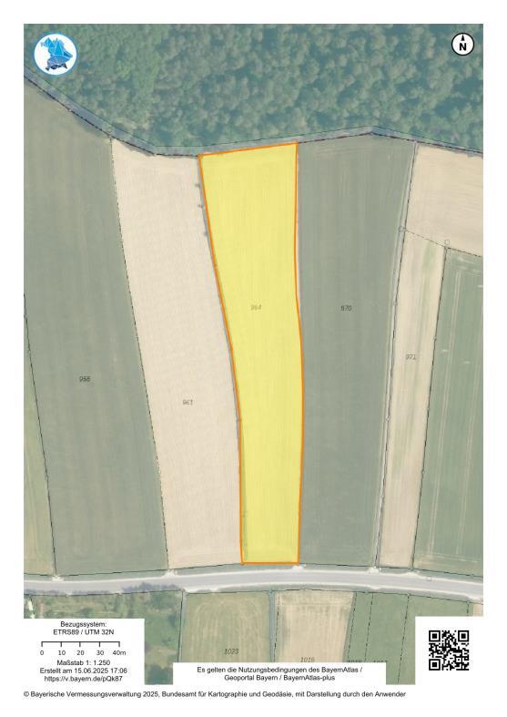 unbebautes Grundstück, land- und forstwirtschaftlich genutztes Grundstück in Büchenbach - Bild 4