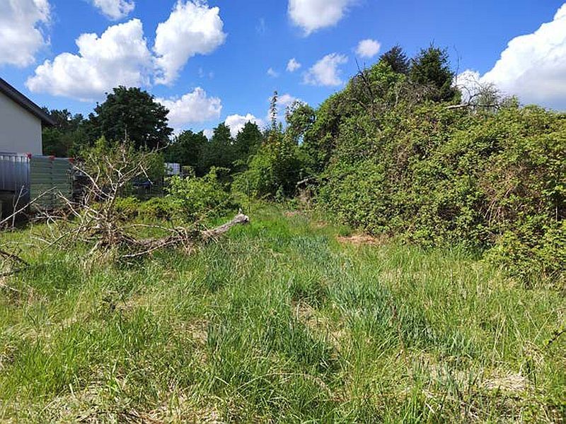 Einfamilienhaus mit 2 Nebengebäuden und Ackerland in Kuhstorf - Bild 2