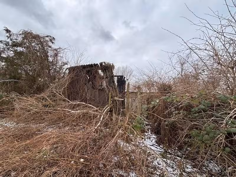 Ehemalige Gartenanlage in Neubrandenburg - Bild 3