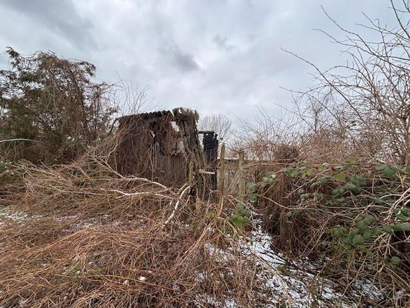 Ehemalige Gartenanlage in Neubrandenburg - Bild 3