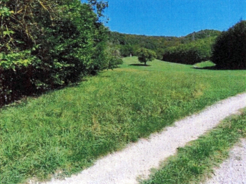 Landwirtschafts-/Waldflächen in Ammerbuch - Bild 2