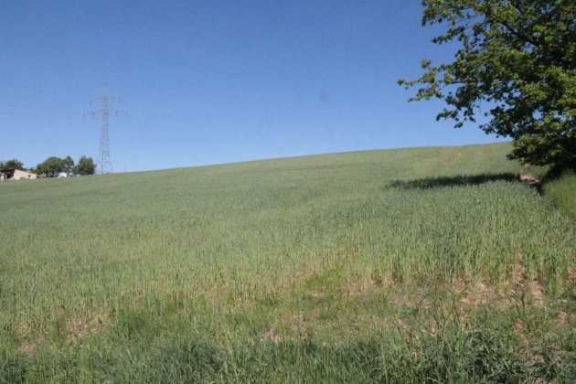 land- und forstwirtschaftlich genutztes Grundstück in Maxhütte-Haidhof - Bild 2
