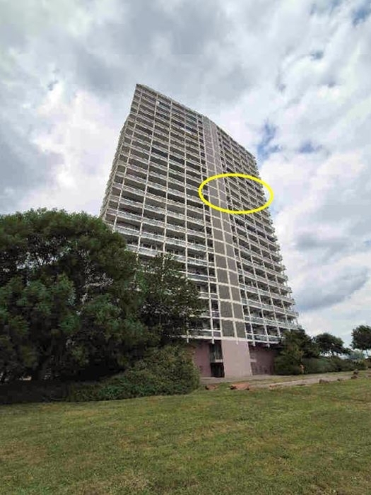 5-Zimmer-Wohnung in Ludwigshafen am Rhein - Bild 2