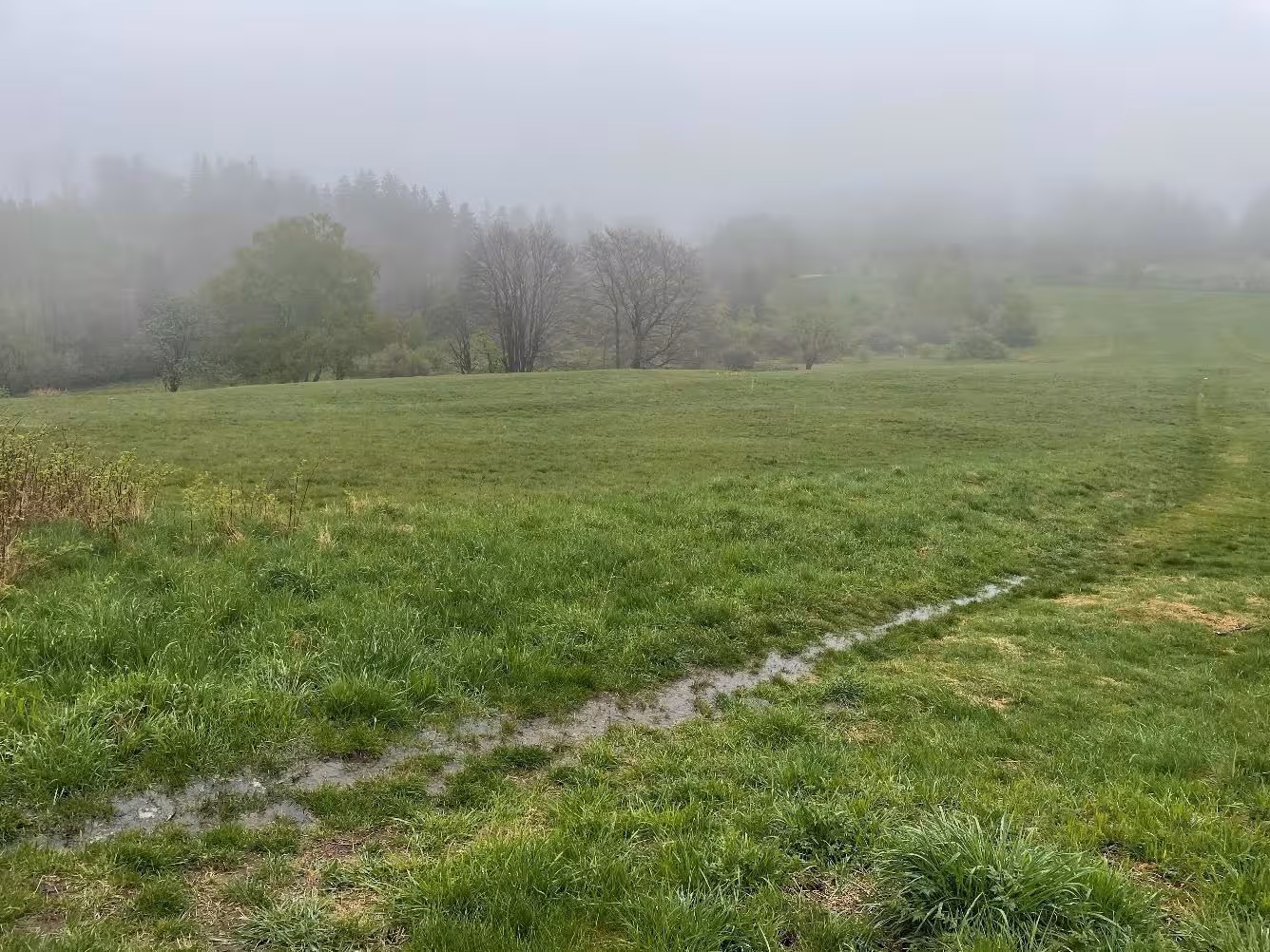 land- und forstwirtschaftlich genutztes Grundstück in Schmitten - Bild 4
