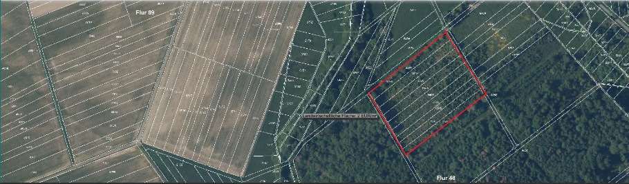 Sonstiges, Ackerland in Usingen - Bild 1