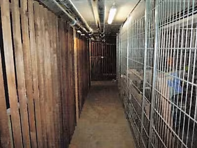 2-Zimmer-Wohnung in Blücherstraße 1, 3, Czernyring 8, 10, 12, 69115 Heidelberg - Bergheim (West) - Bild 2