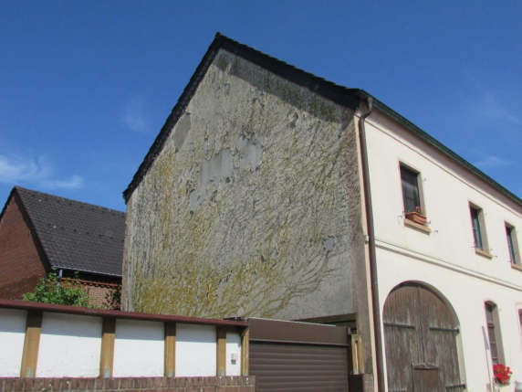 Einfamilienhaus in Wesel - Bild 4