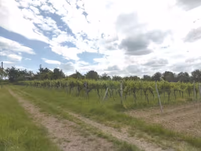 land- und forstwirtschaftlich genutztes Grundstück in siehe amtliche Bekanntmachung, 76889 Barbelroth - Bild 2