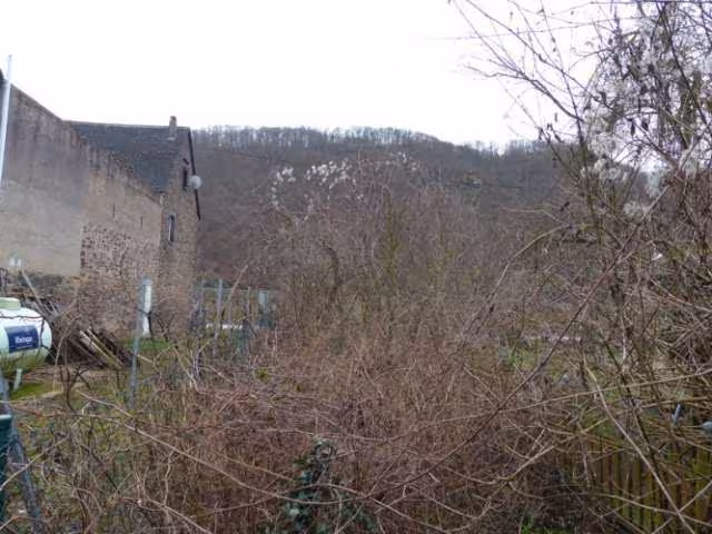 Gartengrundstück in Hatzenport - Bild 10