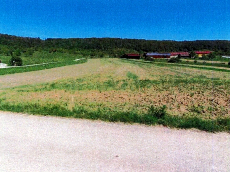 Landwirtschafts-/Waldflächen in Ammerbuch - Bild 4