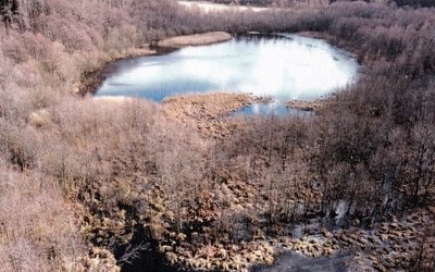 Glieningsee in , 15518 Briesen (Mark) OT Kersdorf - Bild 1