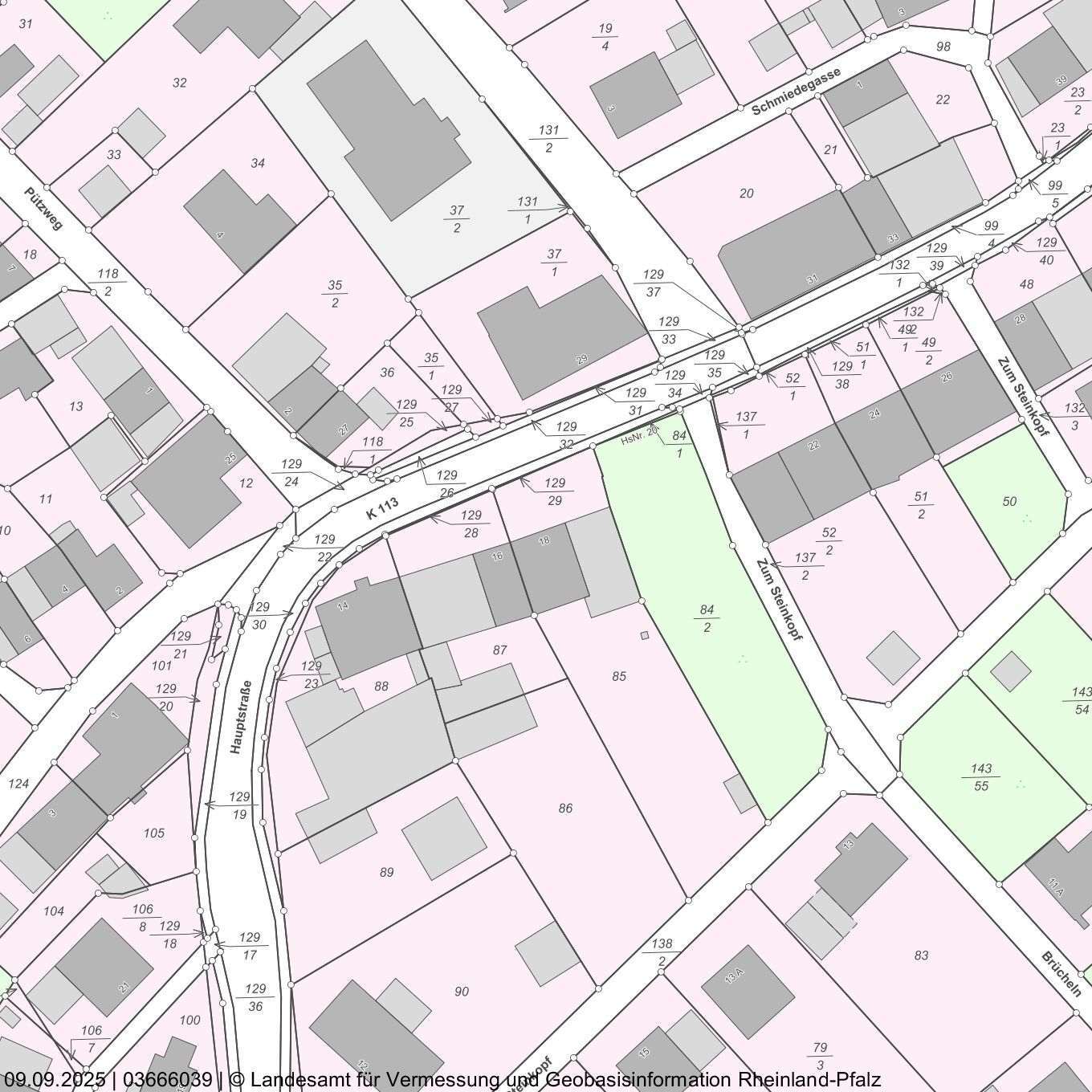 Einfamilienhaus, Garage in Malborn - Bild 2
