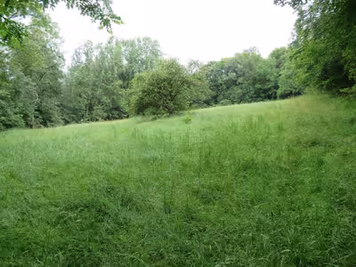 Grünland, Streuobstwiese, Forstfläche in Nußleite, 96129 Strullendorf, Zeegendorf - Bild 2