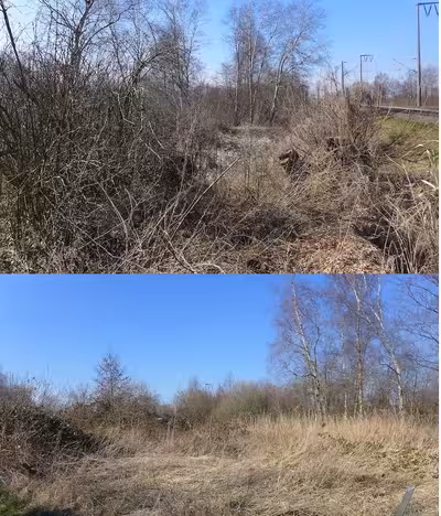 land- und forstwirtschaftlich genutztes Grundstück in Zwischen Ems-¿Seitenkanal und Eisenbahn, 26725 Emden - Bild 2