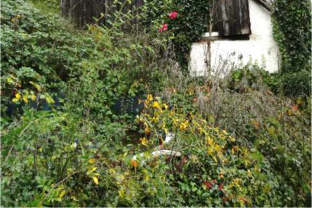 Einfamilienhaus, siehe Beschreibung in Marktrodach - Bild 4