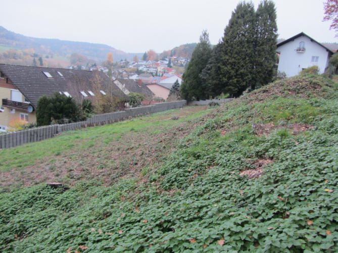 Baugrundstück in Hetschbach - Bild 2