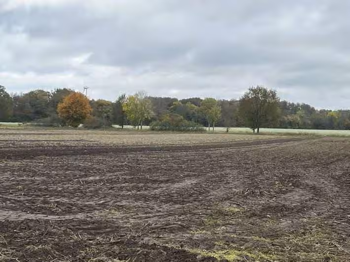 land- und forstwirtschaftlich genutztes Grundstück in Fürstenau - Bild 4