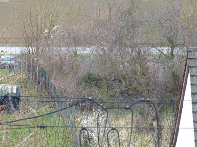 Gartengrundstück in Hatzenport - Bild 11