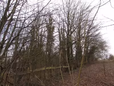 land- und forstwirtschaftlich genutztes Grundstück in Auf dem Brusserberg, 53125 Bonn, Röttgen - Bild 1