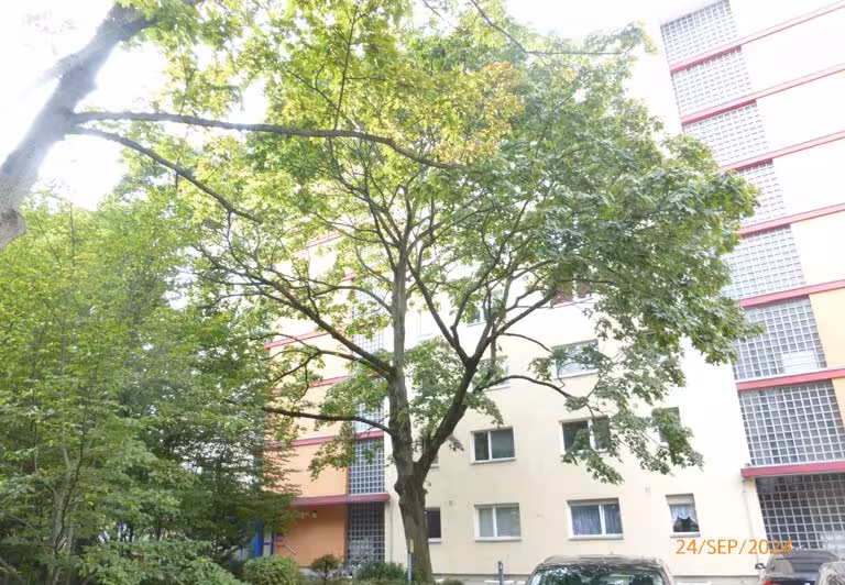 Eigentumswohnung (1 bis 2 Zimmer) in Berlin - Bild 2