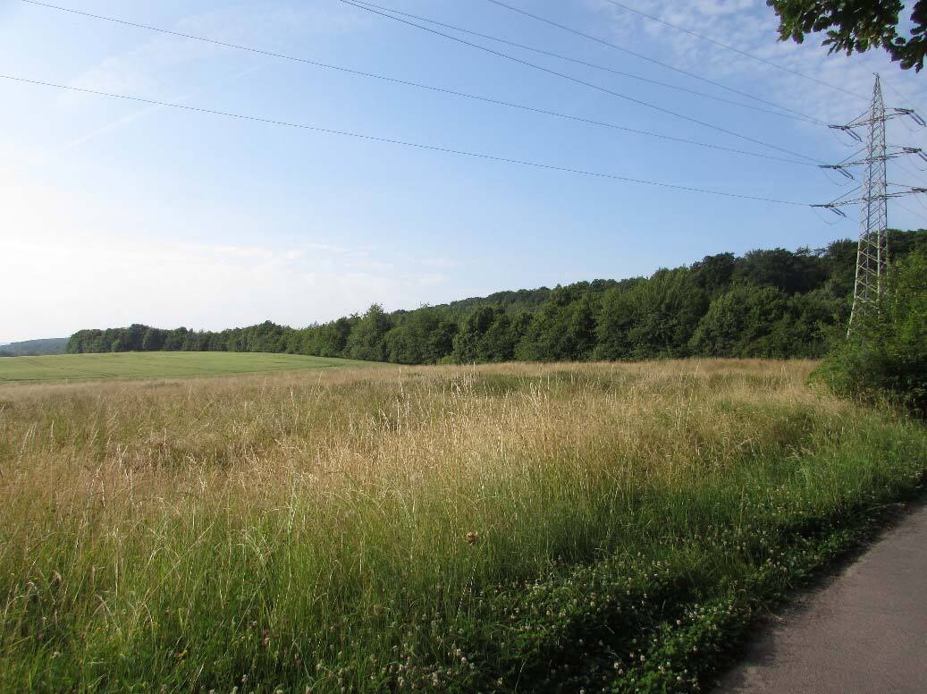 unbebautes Grundstück in Sinzig - Bild 2