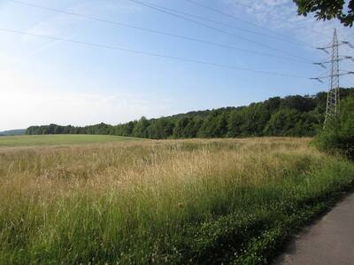 unbebautes Grundstück in Auf der Schälgerste, 53489 Sinzig, Löhndorf - Bild 2