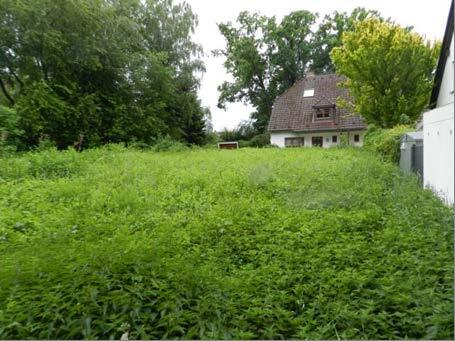 unbebautes Grundstück in Weiherhof - Bild 3