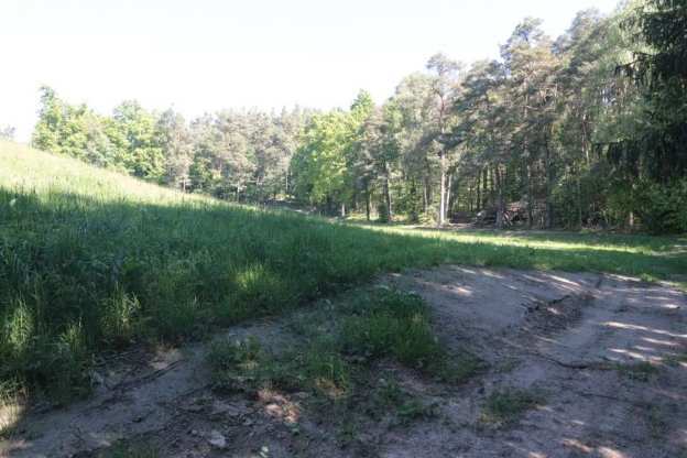 land- und forstwirtschaftlich genutztes Grundstück in Maxhütte-Haidhof - Bild 3