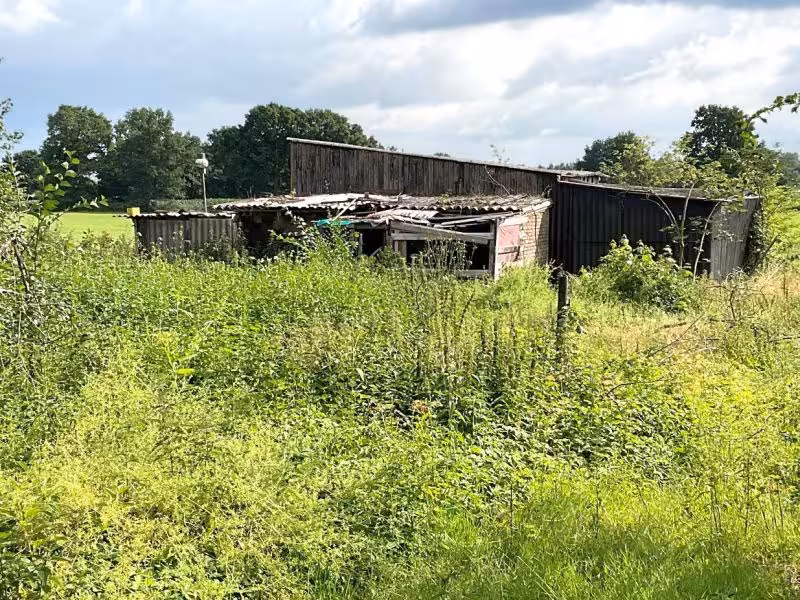 Resthofstelle im Außenbereich mit Grünlandflächen in Alt Duvenstedt - Bild 4