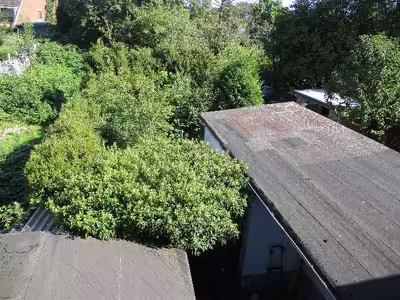 Reihenhaus in An der Finkenau  76, 28239 Bremen, Oslebshausen - Bild 2