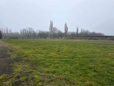 Unbebaute Grundstücke in , 18556 Wiek OT Parchow - Bild 1