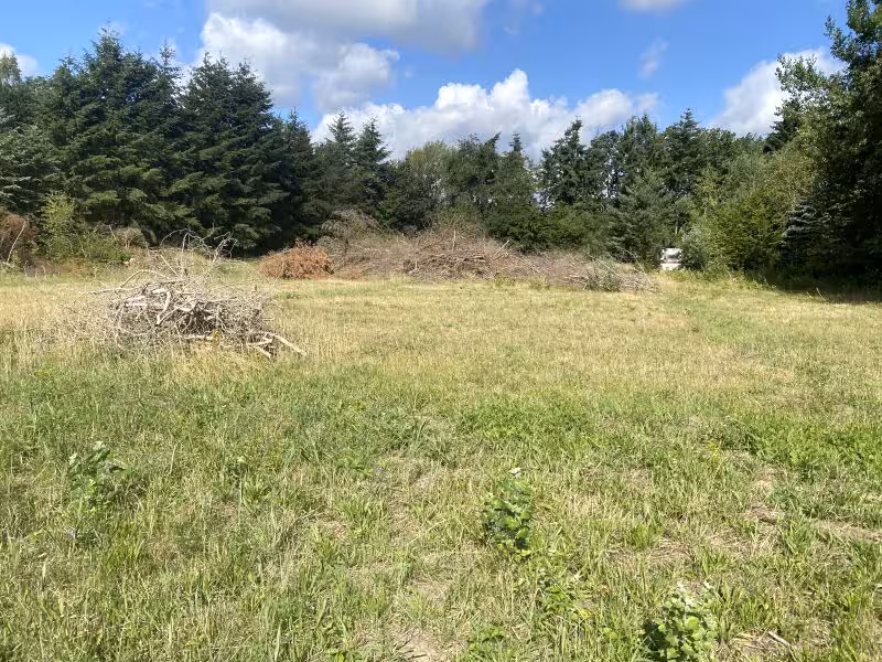 Wohnhaus und Werkstattgebäude (Gärtnereigrundstück) in Malente - Bild 4