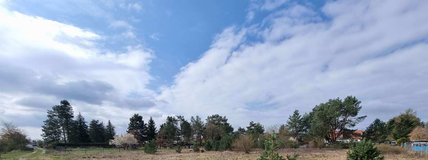 unbebautes Grundstück in Oranienburg - Bild 4