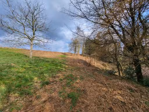 land- und forstwirtschaftlich genutztes Grundstück in Burscheid - Bild 3